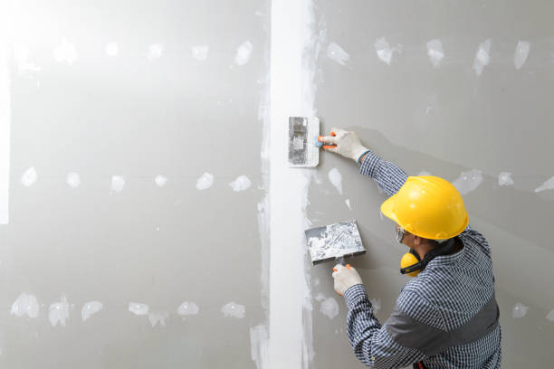 Best Basement Mold Removal  in East Vineland, NJ