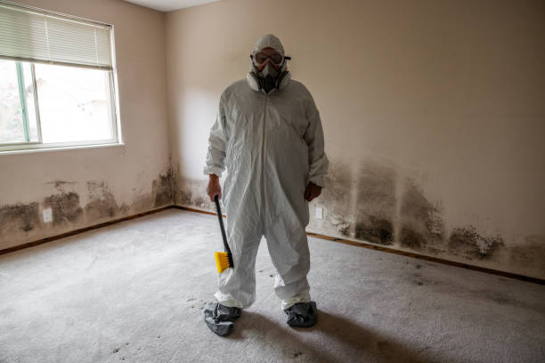 Mold Remediation for Rental Properties in East Vineland, NJ