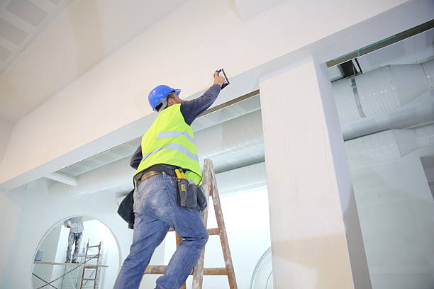 Reliable East Vineland, NJ Mold Removal Solutions
